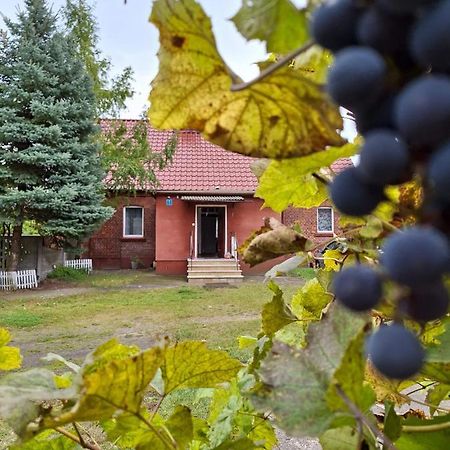 Domek Przy Maja Міліч Екстер'єр фото